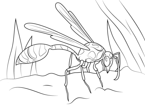 Mud Dauber Wasp Coloring Page